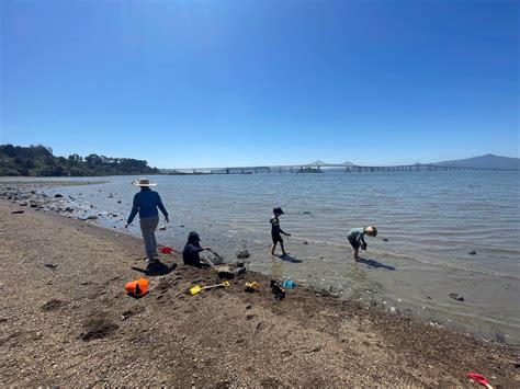 Home - Citizens for East Shore Parks - Preserving the East Bay Shoreline