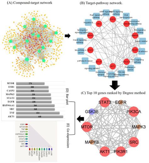 Network Pharmacology and Bioinformatics Approach Reveals the Multi ...