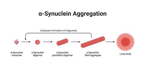 Discovery of potent inhibitors of α-synuclein aggregation using structure-based iterative learning - PubMed