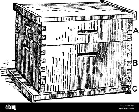 Langstroth frame Cut Out Stock Images & Pictures - Alamy