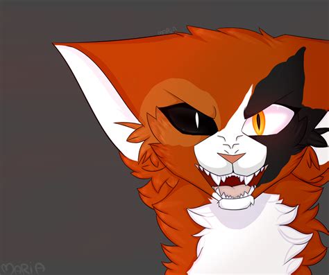 MapleShade fan art (Warriors Cats) by MariaDraws410 on DeviantArt