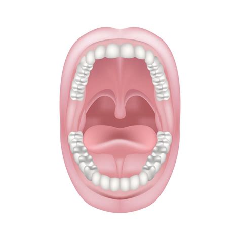 Why Does My Tongue Hurt Glossitis: Symptoms, Causes, Diagnosis, And
