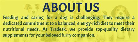 TRADESK Chicken Flavor Dog Chew Stick | Dog Treats | Protein Chew ...