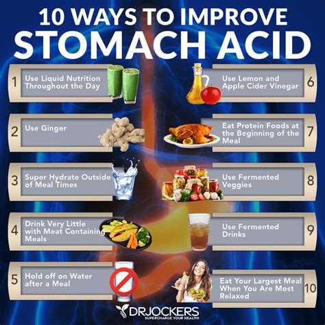 Causes and Symptoms of Low Stomach Acid - DrJockers.com