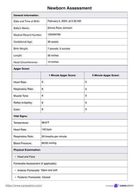 Newborn Assessment & Example | Free PDF Download
