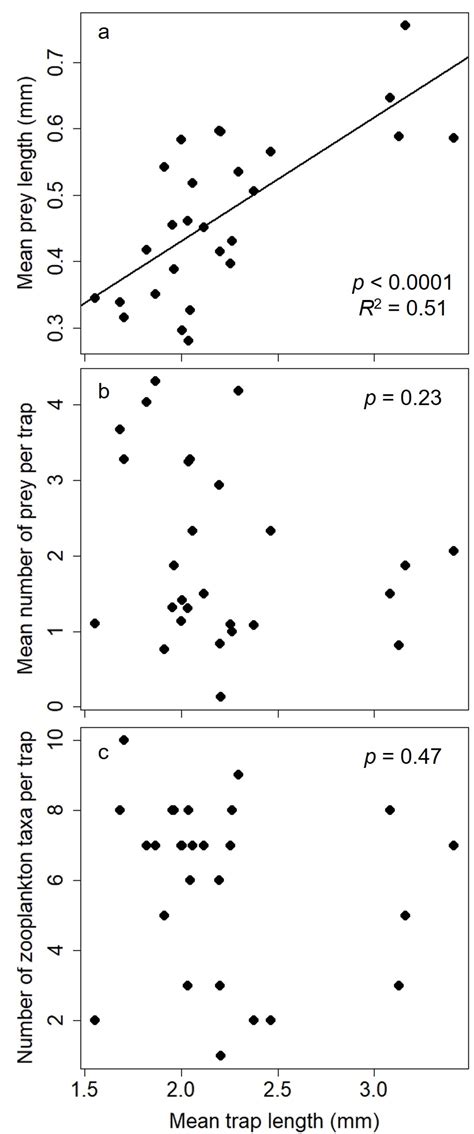 Bladderwort Relationship to Zooplankton in Two Northern Michigan Lakes