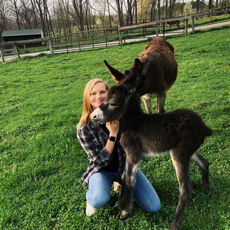 Our Team — West Friendship Animal Hospital