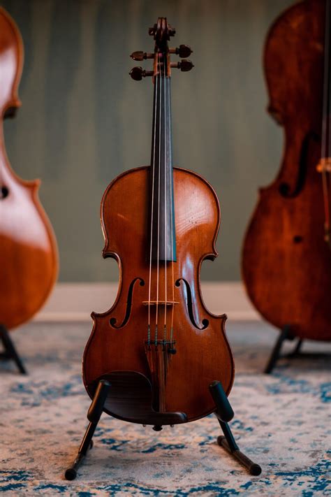 The Facts You Didn’t Know About the Violin - Ronald Sachs Violins