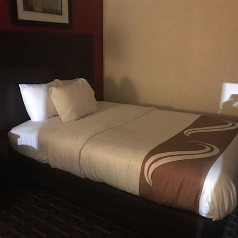 QUALITY INN & SUITES MILLVILLE - VINELAND - Prices & Hotel Reviews (NJ)