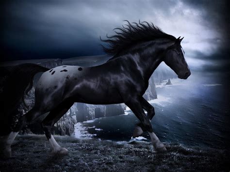 Black Horse Wallpapers - Wallpaper Cave