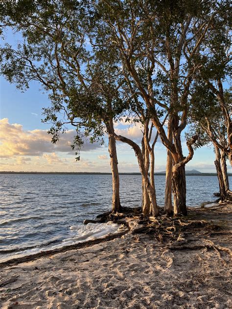 2023 Year 10 Camp: Higher Ground | Trinity Lutheran College