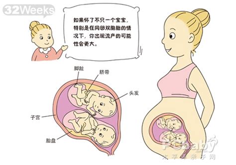 孕32周胎儿的体重和身长各是多少？怀孕32周孕妇的情况是怎样的？_周宝宝_妈妈_耻骨