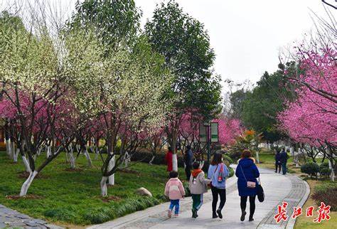 春节天气预报查询梅州