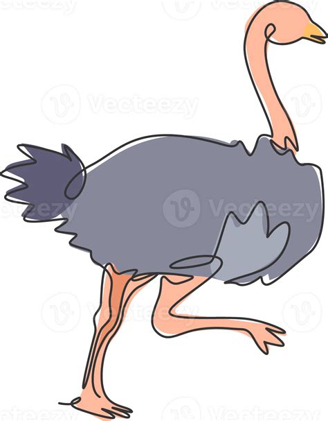 Single continuous line drawing of cut ostrich bird run fast. Endangered animal national park ...