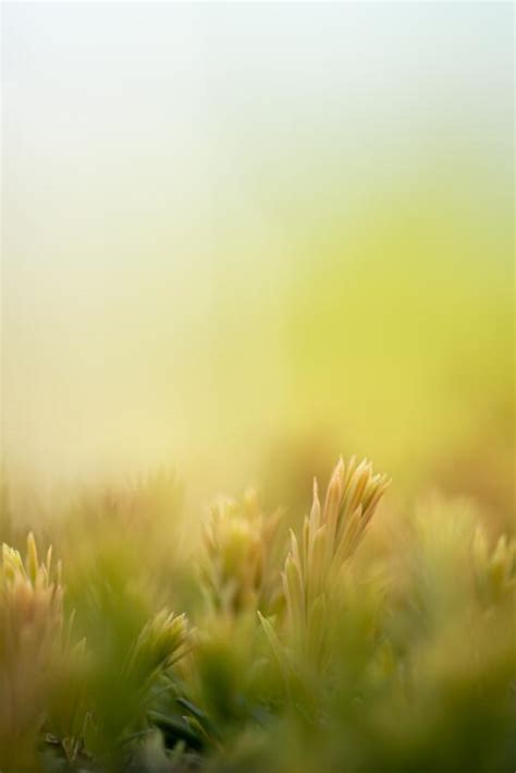 Image result for Spring Weather Picures