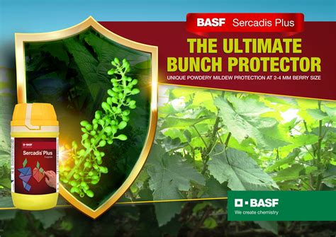 Solutions for Apples | BASF Crop Protection India