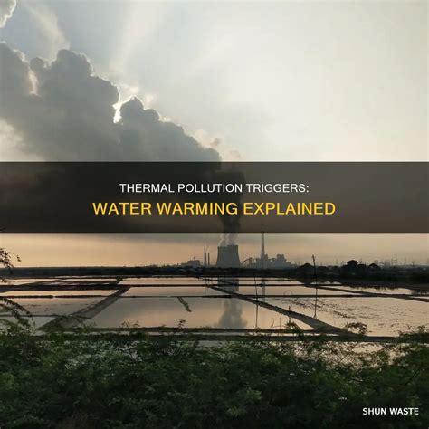 Thermal Pollution Triggers: Water Warming Explained | ShunWaste