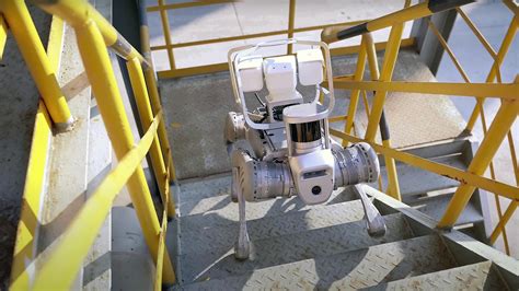 UniTree B2 Robot 的图像结果