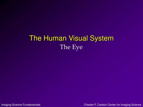 Human Visual System 的图像结果