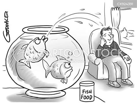 Object Show Fish Food 的图像结果