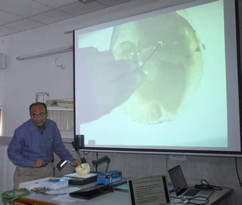 Neurosurgery Education And Training School