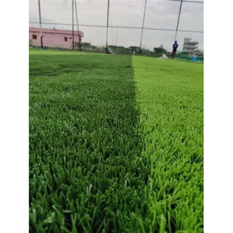 Artificial Grass Trader, Artificial Grass Supplier in Hyderabad