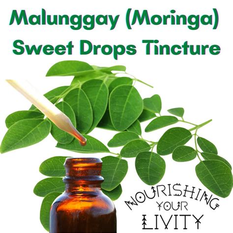 Malunggay