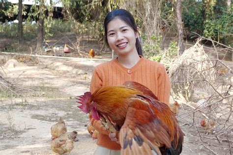 广东人究竟有多爱吃鸡？_家禽类_什么值得买