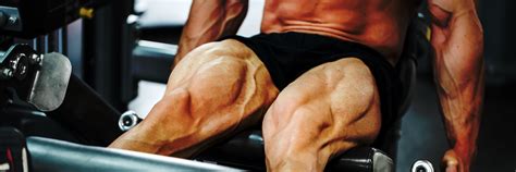 Top 7 Whey Protein Alternatives for Muscle Building in 2025 — Wellversed