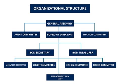 Co-operative Organizational Structure 的图像结果