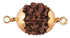 Jds Jewellery 5 faced Nepali Rudraksha Pendant Certified Brown Five ...