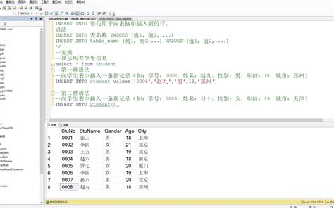 Access SQL Insert Into 的图像结果