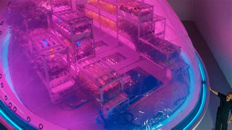 Image result for Interstellar Lab