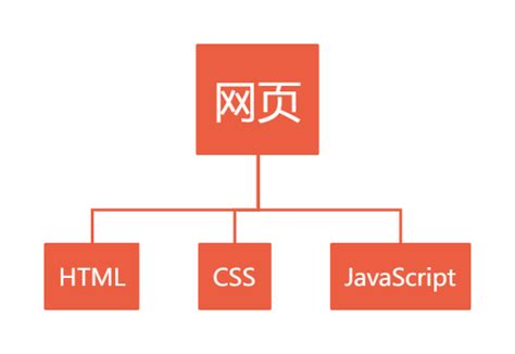 JavaScript Coding 的图像结果