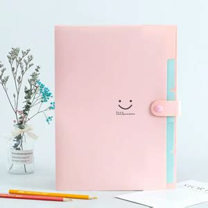 HASTHIP® 2Pcs File Folder with Labels, Accordion File Folder, Expanding ...