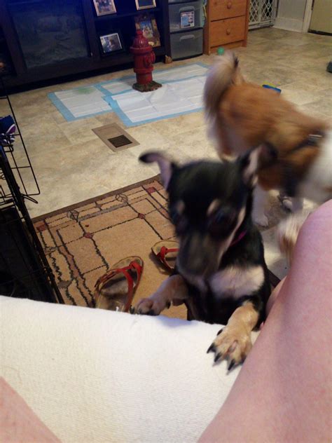 Image result for Lil Bit First