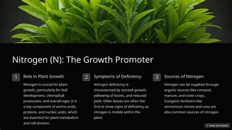 Soil-Fertility-and-Plants-Nutrition.pptx