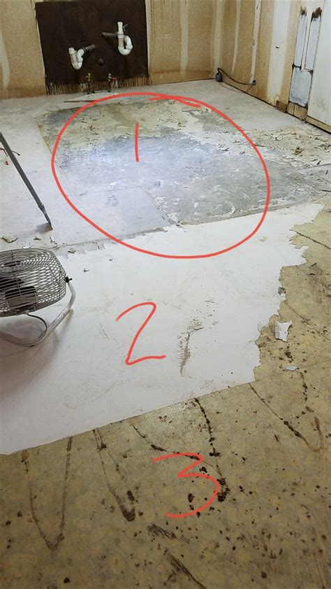 How To Lay Lino Flooring On Concrete at David Velasquez blog