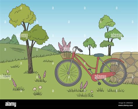 Bicycle in field graphic color landscape sketch illustration vector Stock Vector Image & Art - Alamy
