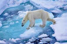 Polar Background by Polar Wallpapers Pictures Images Polar Background
