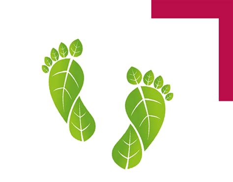 Impex & Logistics from UB Aggarwal Group of Industries, Gujarat