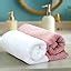 HEELIUM Bamboo Hand Towel | Ultra Absorbent & Anti-Bacterial | 3X ...