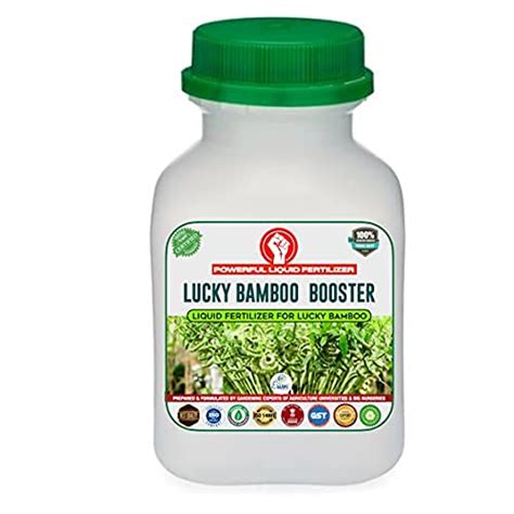 Buy Erwon® Lucky Bamboo Booster, Premium Essential Powerful Liquid ...
