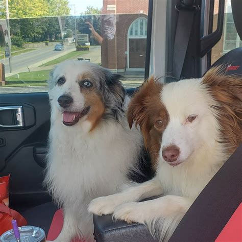 Energy Lake Campground | Land Between the Lakes National Recreation ...