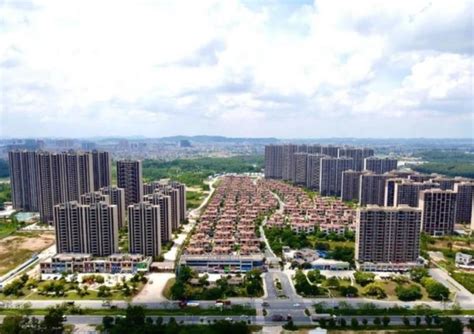 湛江廉江市约89亩商住地块被碧桂园地产以3.838亿元竞得-湛江楼盘网