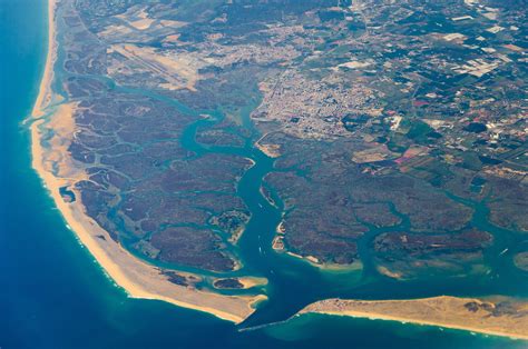 What Are Estuaries? - Coastal Waters Where Rivers Meet Sea