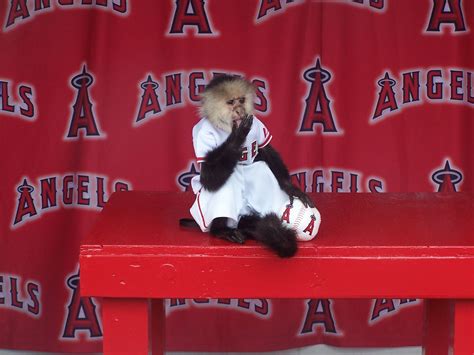 Angels Rally Monkey at Los Angeles Angels Stadium