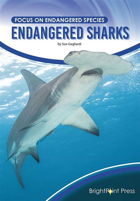 Endangered Sharks (Focus on Endangered Species) : Gagliardi, Sue ...