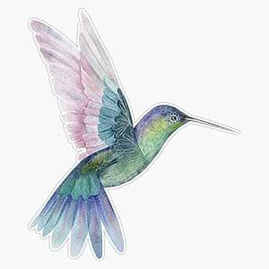 Magnet Hummingbird Magnet Vinyl Decal Sticker 5" : Amazon.in: Car ...