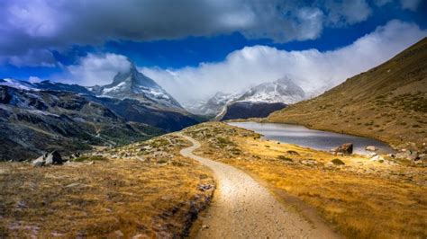 Pic of World 的图像结果